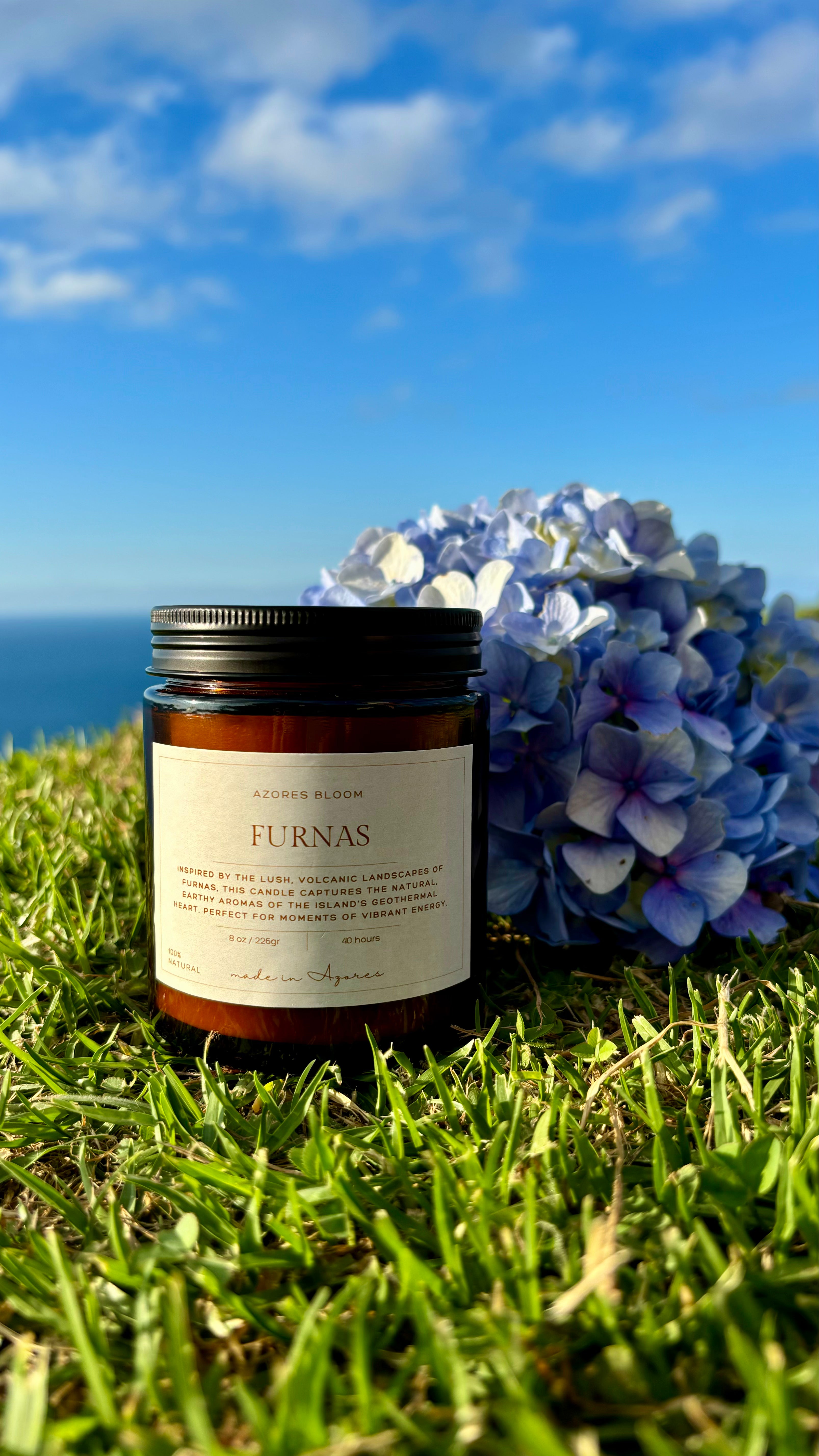 Furnas- Earth & Energy